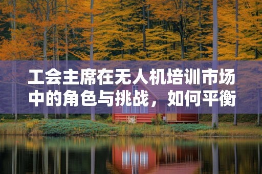 工会主席在无人机培训市场中的角色与挑战，如何平衡利益与安全？