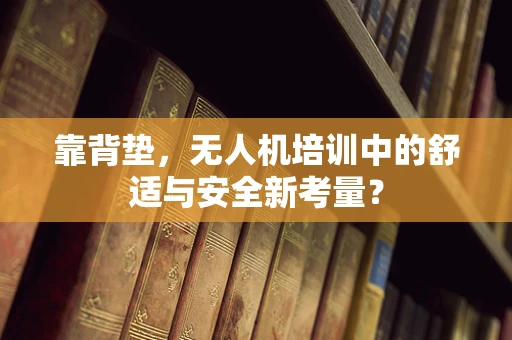 靠背垫，无人机培训中的舒适与安全新考量？