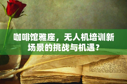 咖啡馆雅座，无人机培训新场景的挑战与机遇？