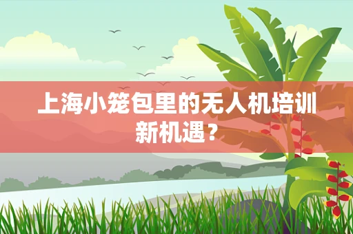 上海小笼包里的无人机培训新机遇？