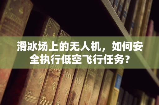 滑冰场上的无人机，如何安全执行低空飞行任务？