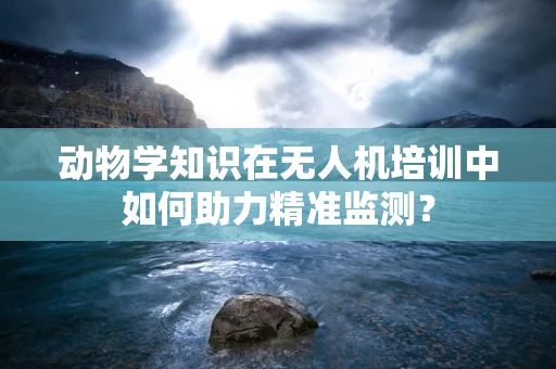 动物学知识在无人机培训中如何助力精准监测？