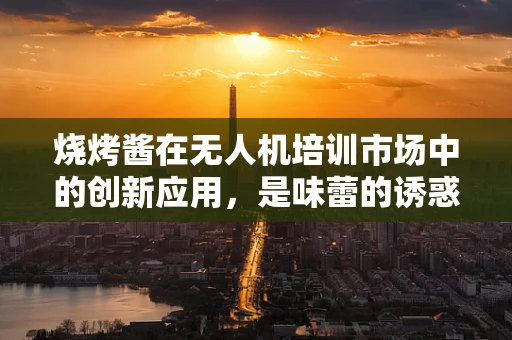 烧烤酱在无人机培训市场中的创新应用，是味蕾的诱惑还是技术培训的奇招？