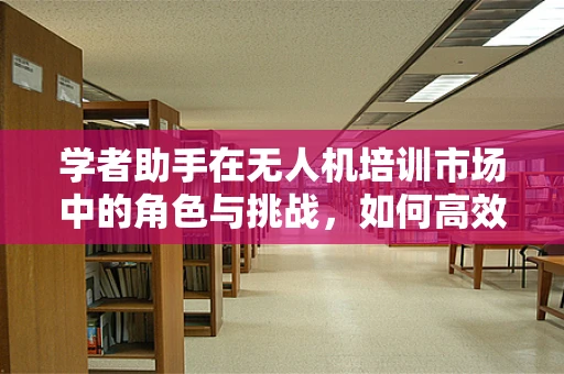 学者助手在无人机培训市场中的角色与挑战，如何高效辅助学习？