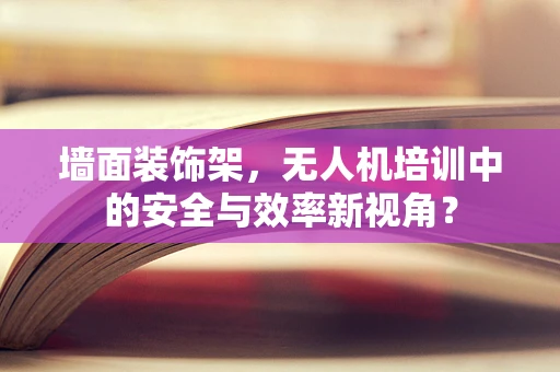 墙面装饰架，无人机培训中的安全与效率新视角？