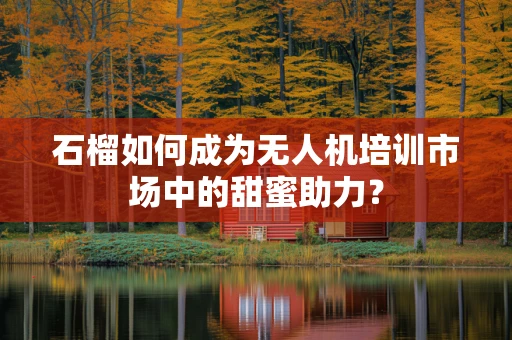 石榴如何成为无人机培训市场中的甜蜜助力？