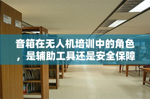 音箱在无人机培训中的角色，是辅助工具还是安全保障？