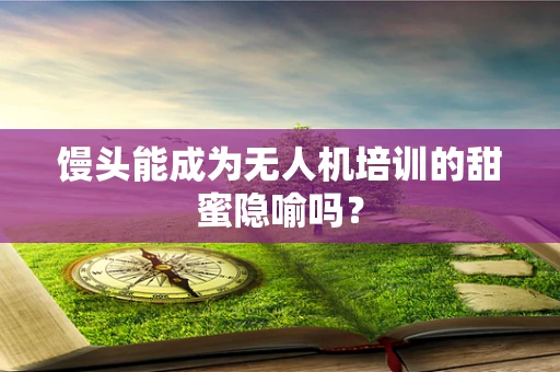 馒头能成为无人机培训的甜蜜隐喻吗？