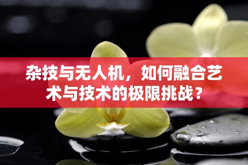 杂技与无人机，如何融合艺术与技术的极限挑战？