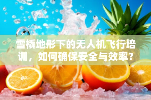 雪橇地形下的无人机飞行培训，如何确保安全与效率？