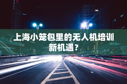 上海小笼包里的无人机培训新机遇？