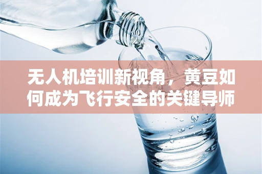 无人机培训新视角，黄豆如何成为飞行安全的关键导师？