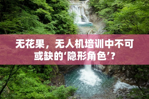 无花果，无人机培训中不可或缺的‘隐形角色’？