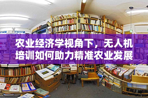 农业经济学视角下，无人机培训如何助力精准农业发展？