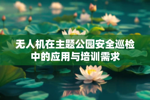 无人机在主题公园安全巡检中的应用与培训需求