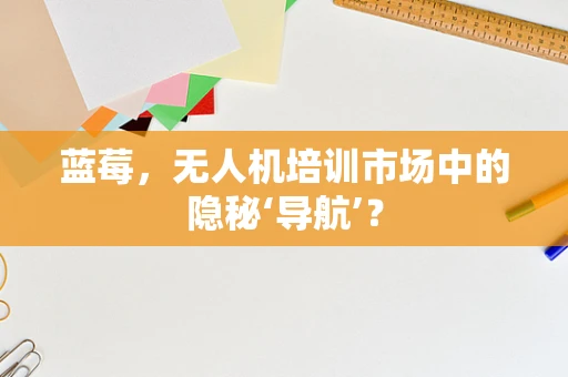 蓝莓，无人机培训市场中的隐秘‘导航’？