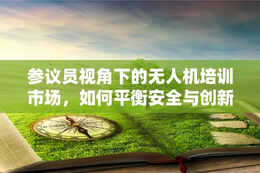 参议员视角下的无人机培训市场，如何平衡安全与创新？