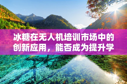 冰糖在无人机培训市场中的创新应用，能否成为提升学习体验的甜蜜秘诀？