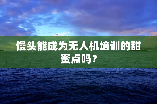 馒头能成为无人机培训的甜蜜点吗？