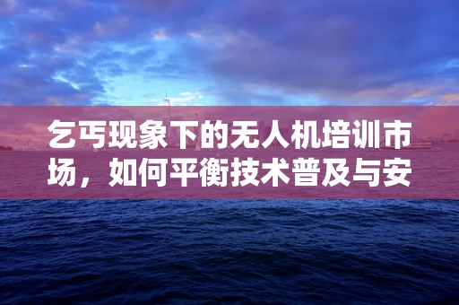 乞丐现象下的无人机培训市场，如何平衡技术普及与安全教育？