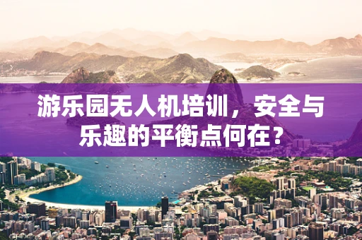 游乐园无人机培训，安全与乐趣的平衡点何在？