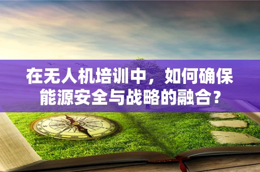 在无人机培训中，如何确保能源安全与战略的融合？