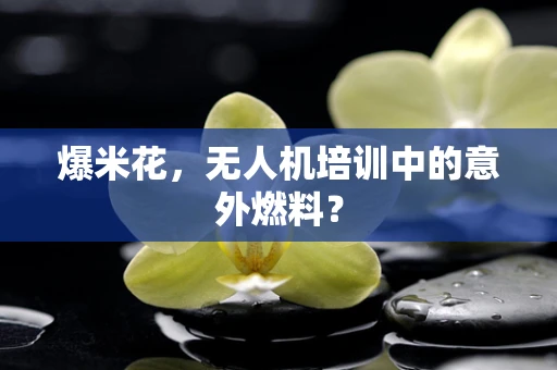 爆米花，无人机培训中的意外燃料？