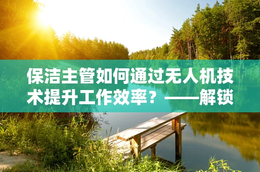 保洁主管如何通过无人机技术提升工作效率？——解锁保洁行业的新纪元