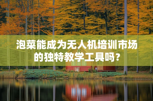 泡菜能成为无人机培训市场的独特教学工具吗？