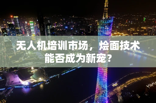 无人机培训市场，烩面技术能否成为新宠？