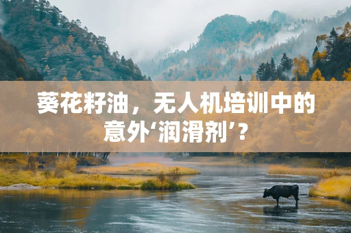 葵花籽油，无人机培训中的意外‘润滑剂’？