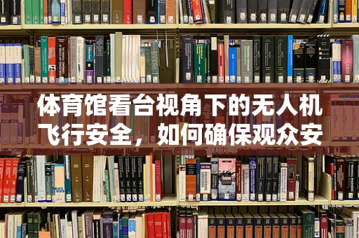 体育馆看台视角下的无人机飞行安全，如何确保观众安全与飞行规范？