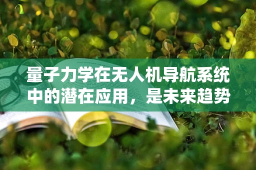 量子力学在无人机导航系统中的潜在应用，是未来趋势还是技术陷阱？