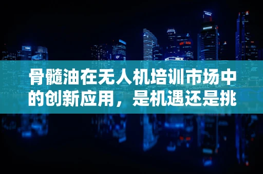 骨髓油在无人机培训市场中的创新应用，是机遇还是挑战？