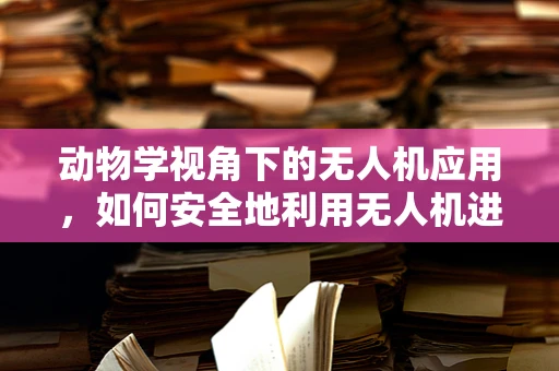 动物学视角下的无人机应用，如何安全地利用无人机进行野生动物监测？